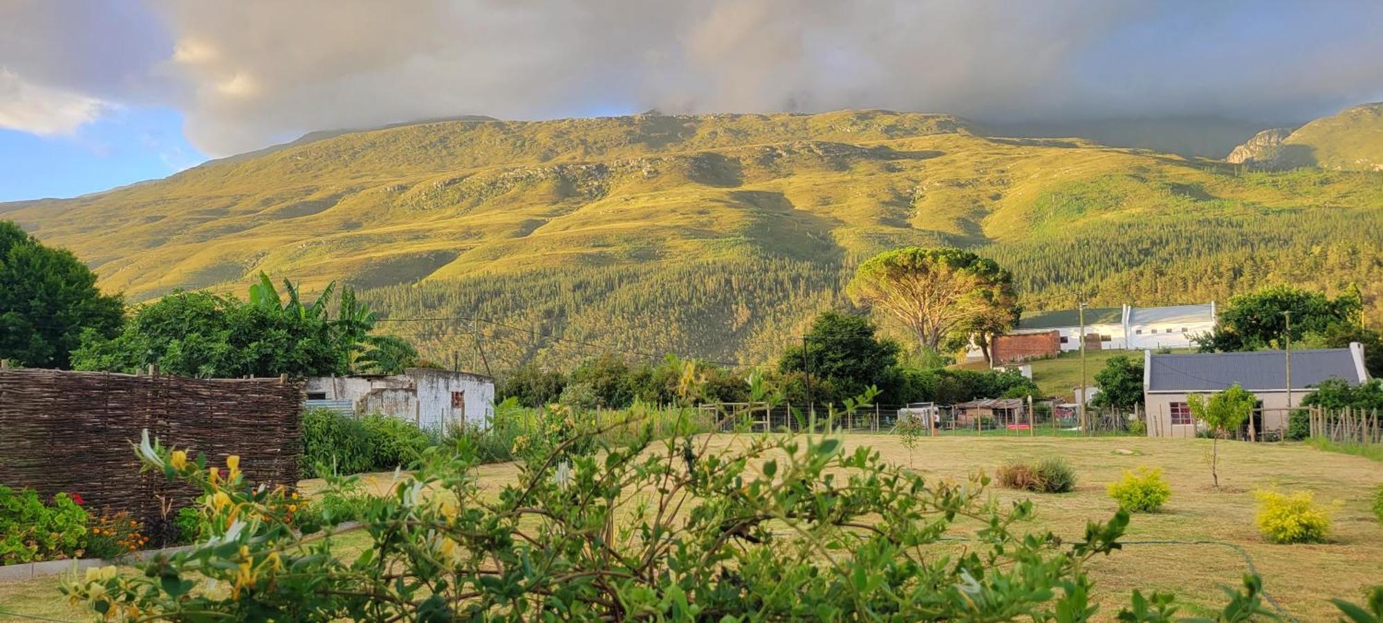 The Dreamcatcher's View Holiday home